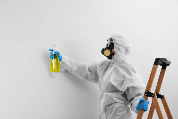  Los Altos Hills, CA Mold Removal Services Pros